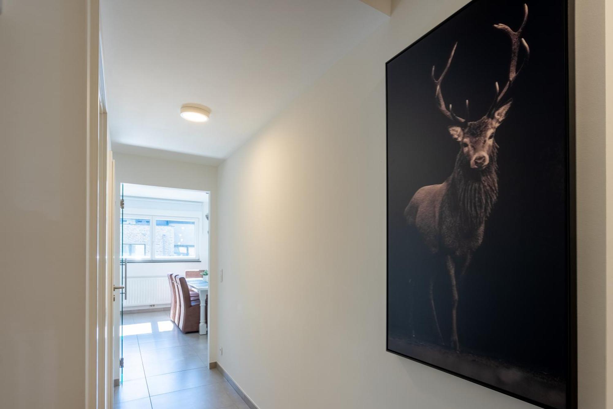 Cedrien Terrace Apartment ラ・ロシュ・アン・アルデンヌ エクステリア 写真
